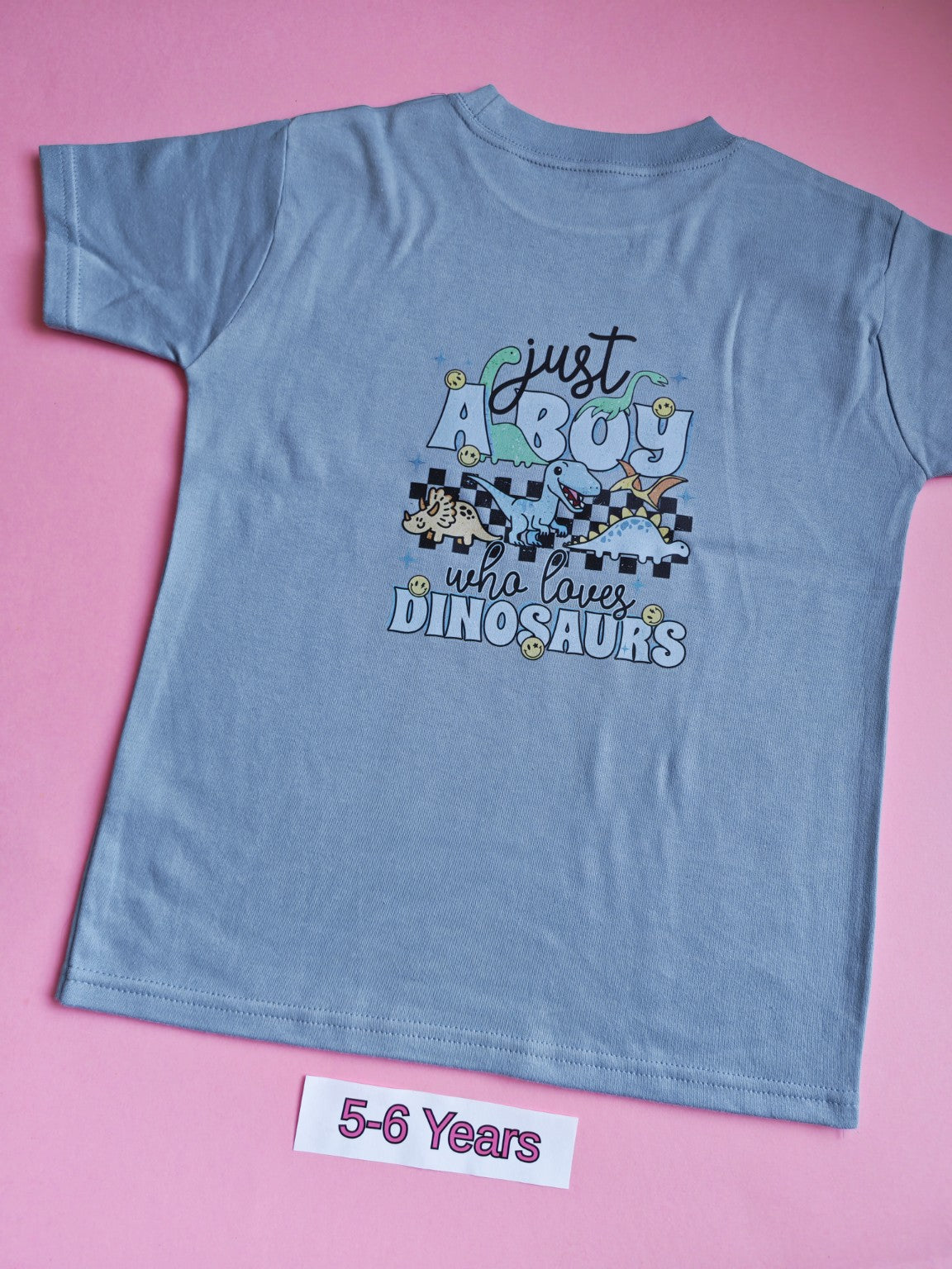 Blue children's dinosaur t-shirt with large Just a Boy Who Loves Dinosaurs back design, size 5-6 years