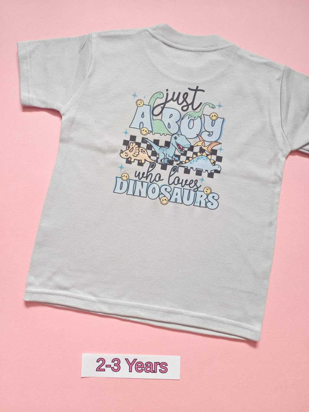Grey children's T-shirt with colourful dinosaur Just a Boy Who Loves Dinosaurs design, back view, size 2-3 years