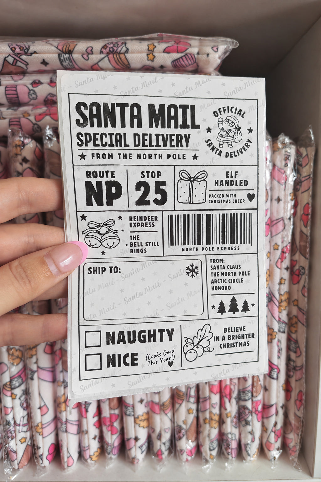 Santa Mail Stickers 🎅🏼 Pack of 10